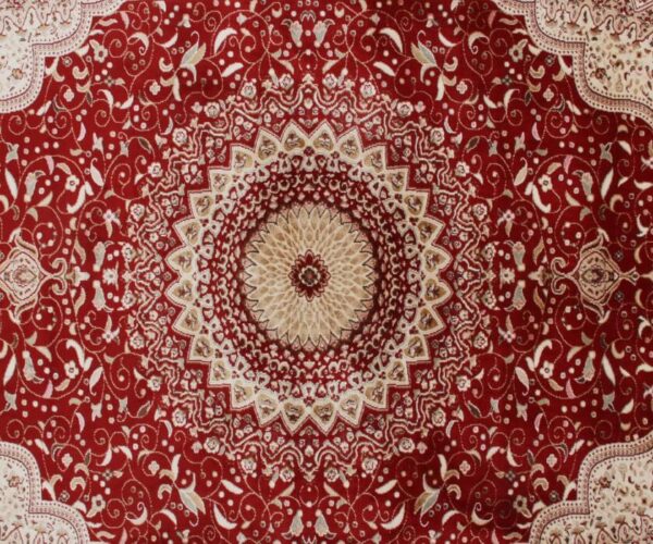 Miras Kirman Red Silk  6x9 Carpet - Image 3
