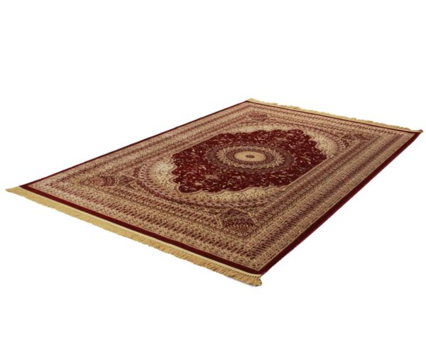 Miras Kirman Red Silk  6x9 Carpet - Image 2