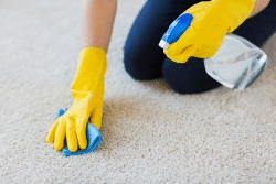 Best-Carpet-Cleaning-Services-in-Bangalore-Miras-Carpets