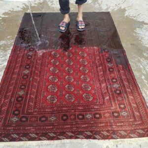 carpet-cleaning-in-bangalore-miras-carpets (1)