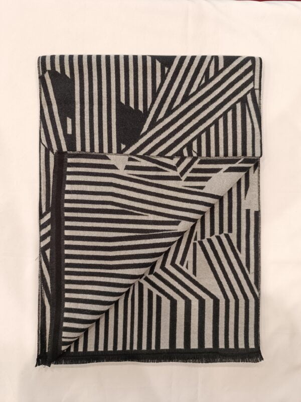 IMG_20230829_113108 modern pashmina stoles_1