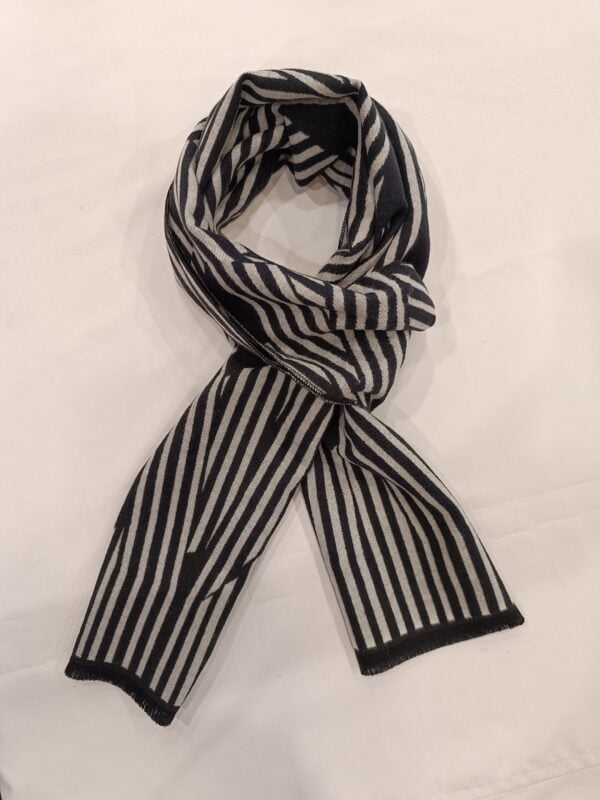 IMG_20230829_113218 modern pashmina stoles_2